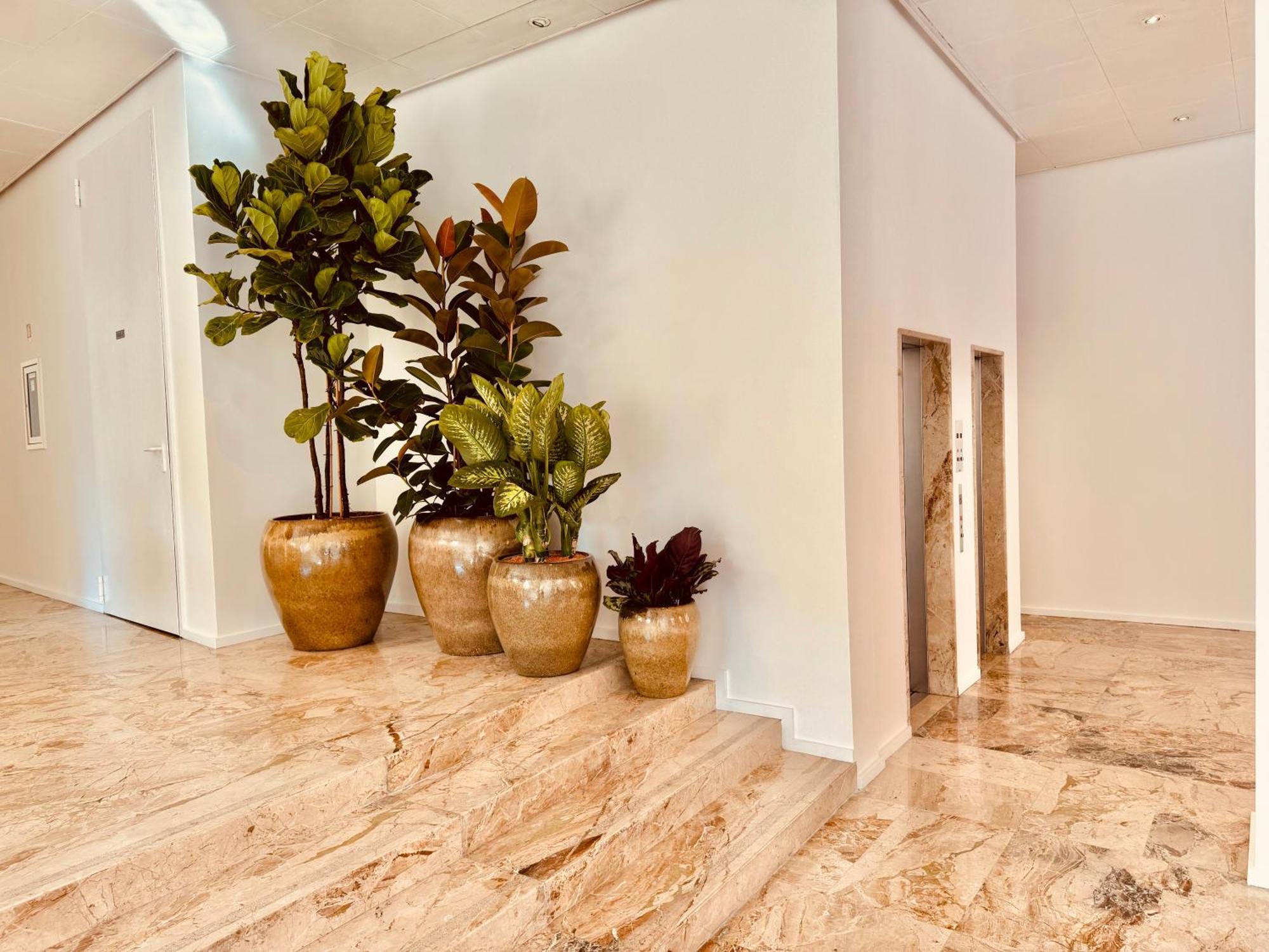 Hotel Pex Mantova Luaran gambar